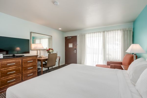 A hotel room with a bed, TV, desk, chair, lamps, and armchair. The room is bright with a window covered by sheer curtains.