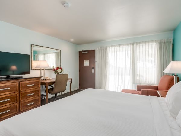 A hotel room with a bed, TV, desk, chair, lamps, and armchair. The room is bright with a window covered by sheer curtains.