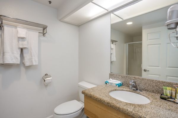 A clean bathroom with a granite countertop, sink, toilet, towel rack, and toiletries on the counter.