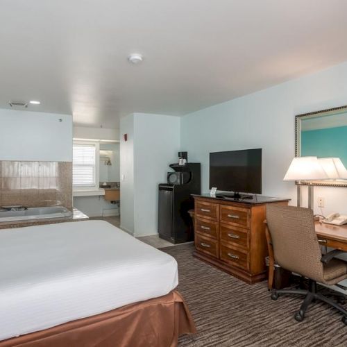 A hotel room with a bed, desk, TV, chair, flowers, lamp, and a whirlpool tub near a window. The decor is simple and modern.